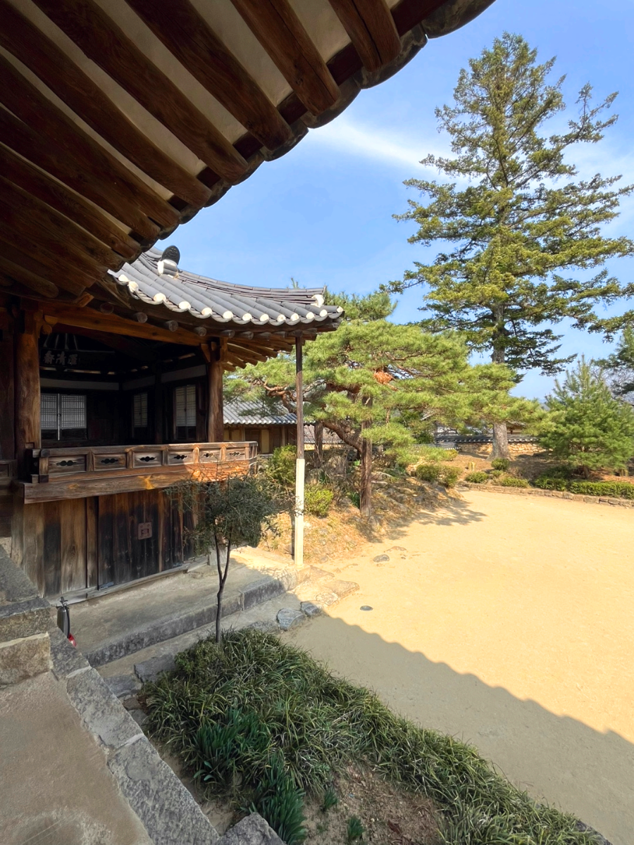 이리오너라자리1