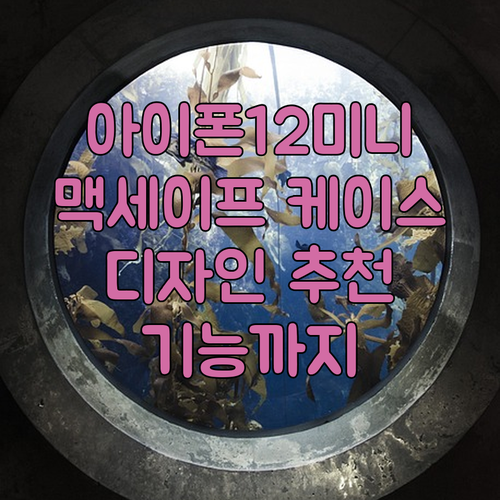 아이폰 12 미니 맥세이프 케이스 추