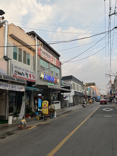 나비룸 이미지