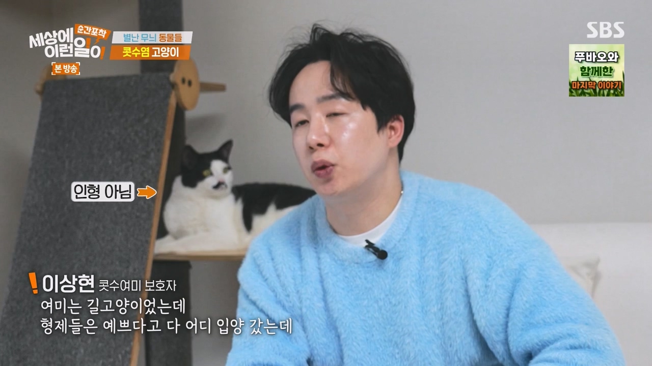 순간포착 세상에 이런일이.E1270.240324p-NEXT.mp4_20240324_164817.157.jpg