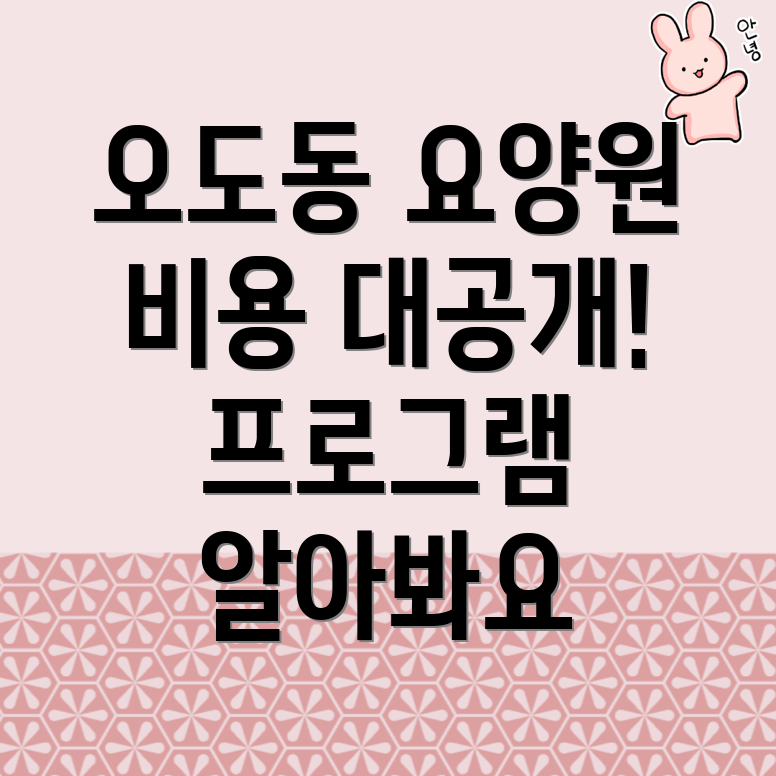 오도동 노인 요양원 비용