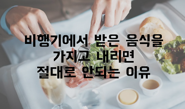  비행기에서 받은 음식을 가지고 내리면 절대로 안되는 이유