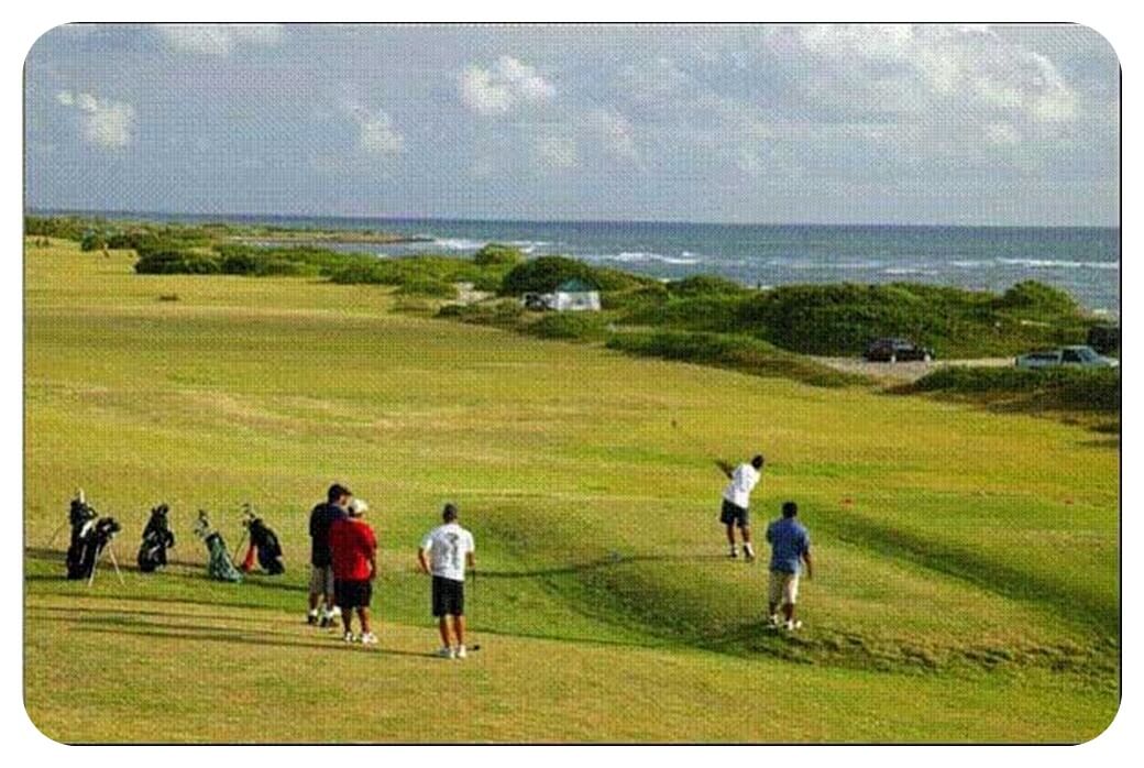 오아후-카후쿠-골프-코스-Kahuku-Golf-Course-내부-골프장-게임-하고있는-사람들-사진