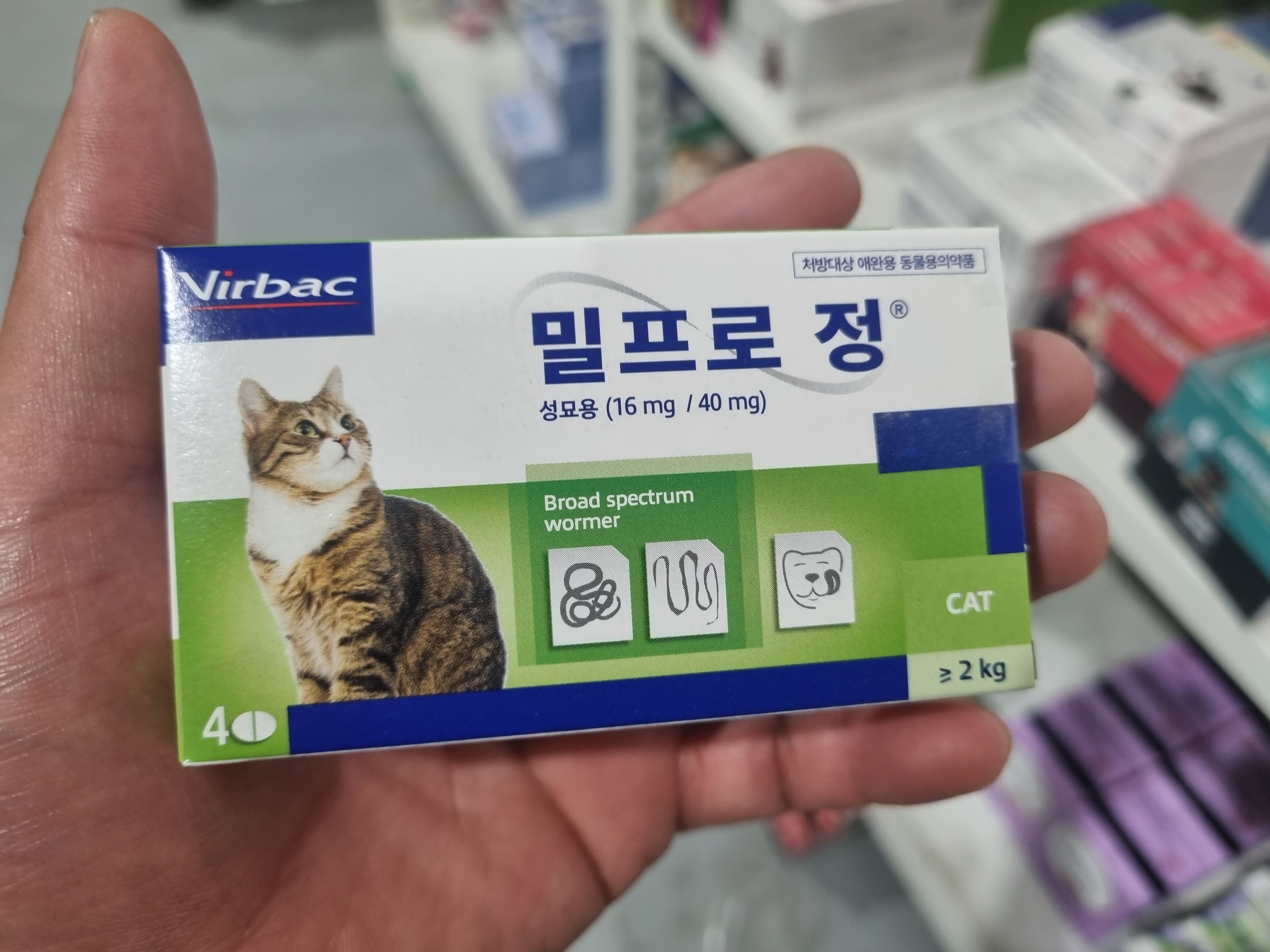 고양이심장사상충약 버박코리아제품 밀프로정 성묘용