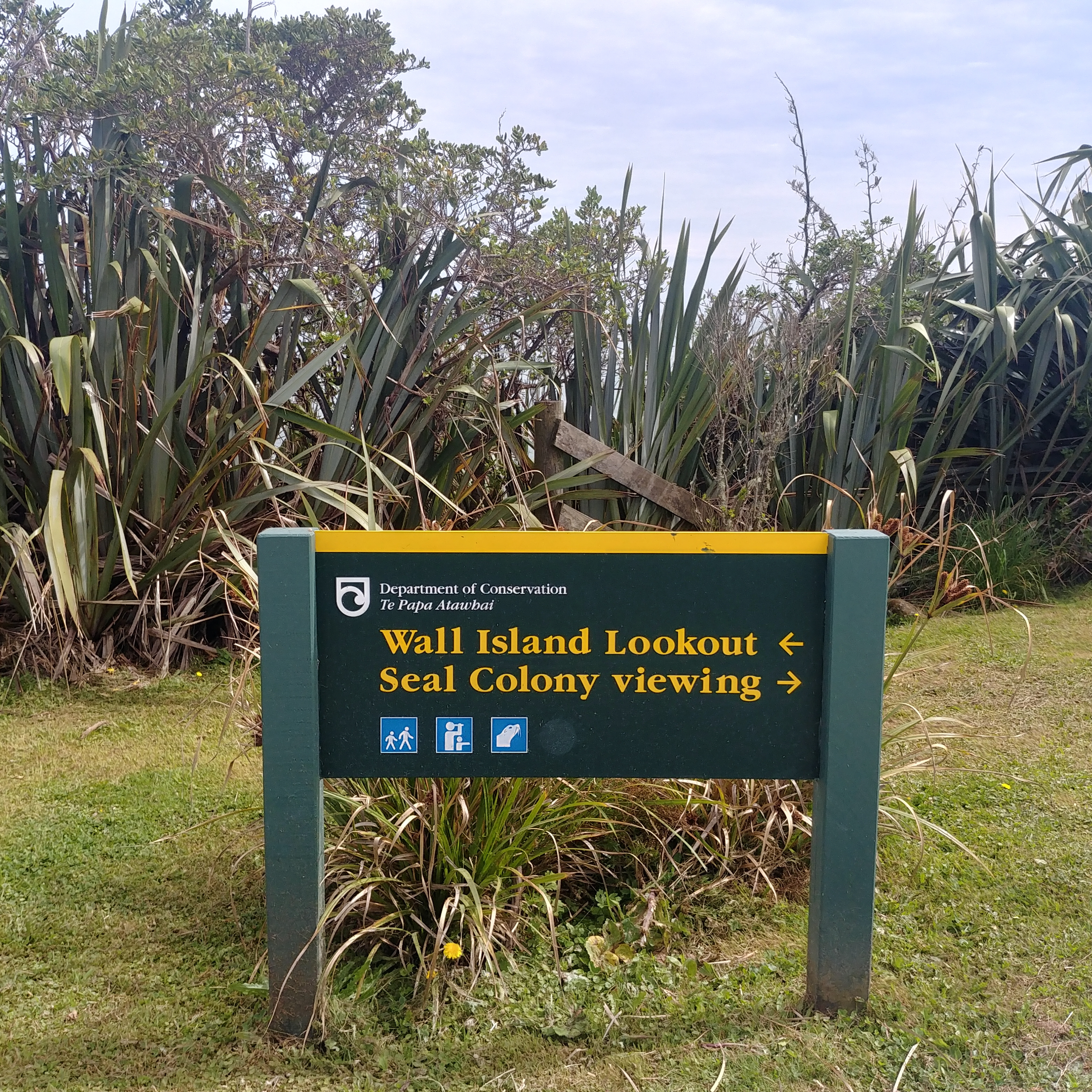 뉴질랜드 남섬 여행 물개 서식지 Seal Colony Tauranga Bay
