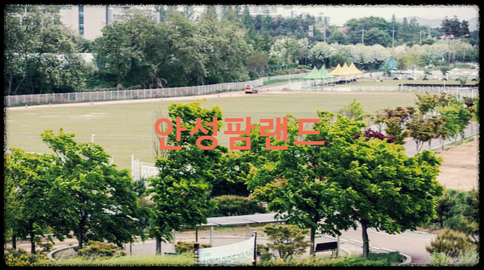  안성팜랜드 : 동물들과 함께 대자연속에서 보내는 즐거운 하루