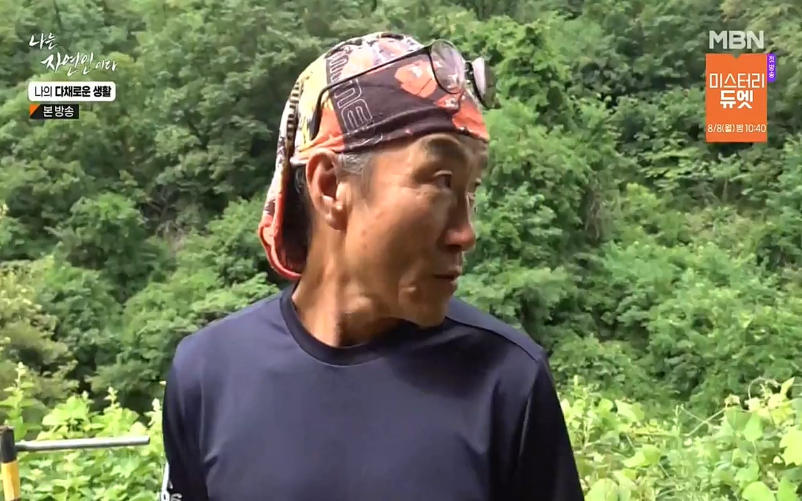 나는 자연인이다.E513.220804p-NEXT.mp4_20220804_202011.244.jpg