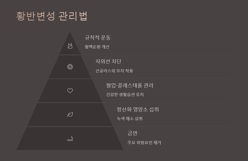 황반변성 조기발견 방법과 관리법