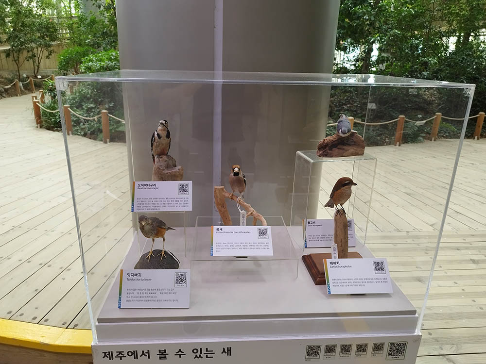 제주도 서식 조류