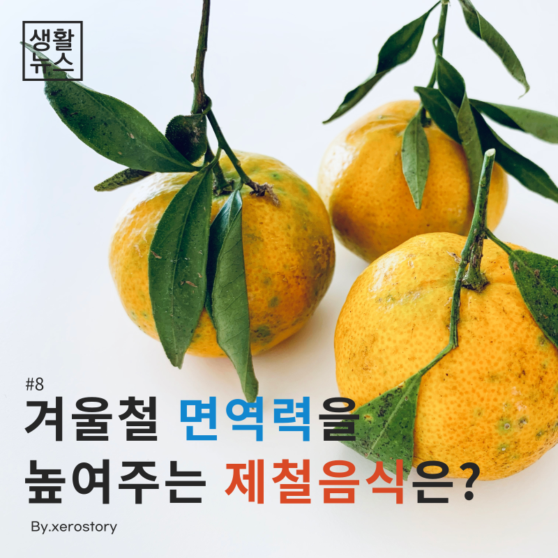  생활건강#8 겨울철 면역력을 높여주는 제철음식에는 무엇이 있을까?