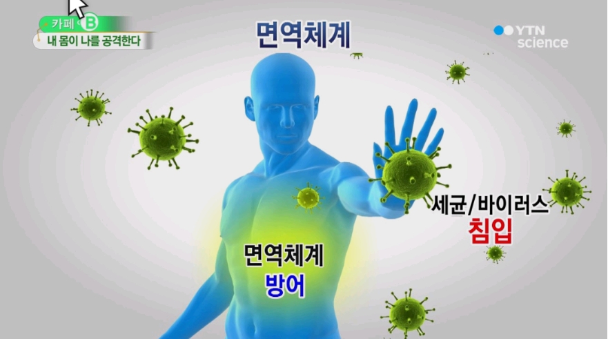  면역력 높이는 음식 7가지 정리