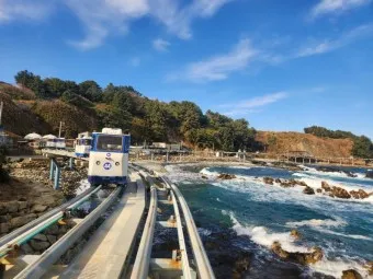 2025 울진 대게 축제 후포항 개최 소식_16