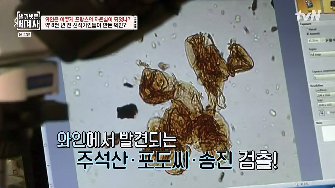 벌거벗은 세계사.E121.231018p-NEXT.mp4_20240518_165509.437.jpg