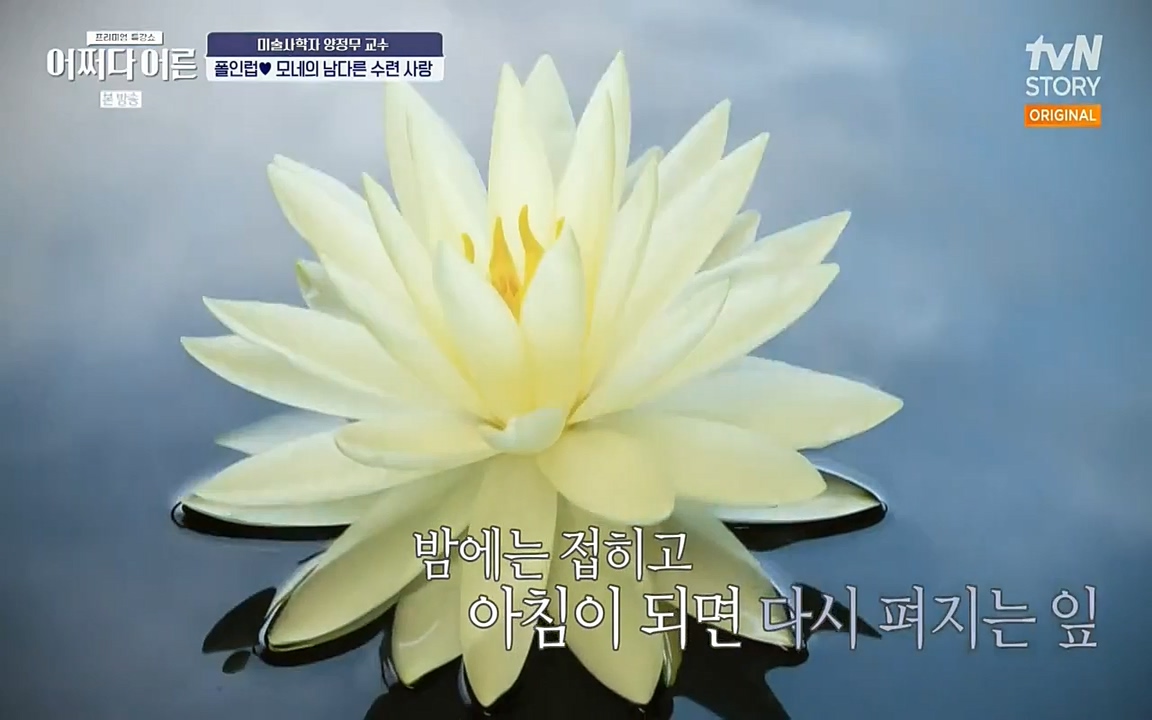 어쩌다 어른.E05.220708p-NEXT.mp4_20220904_180925.592.jpg