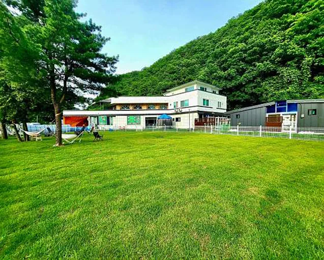 어서오시개냥 애견펜션