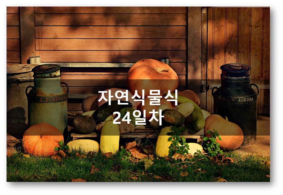  자연식물식 24일차, 코코넛오일은 피하세요
