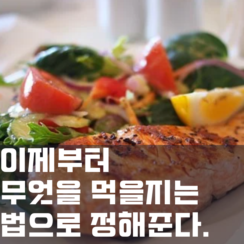  개식용 금지 논란 : 개고기 먹는걸 법으로 금지한다고??