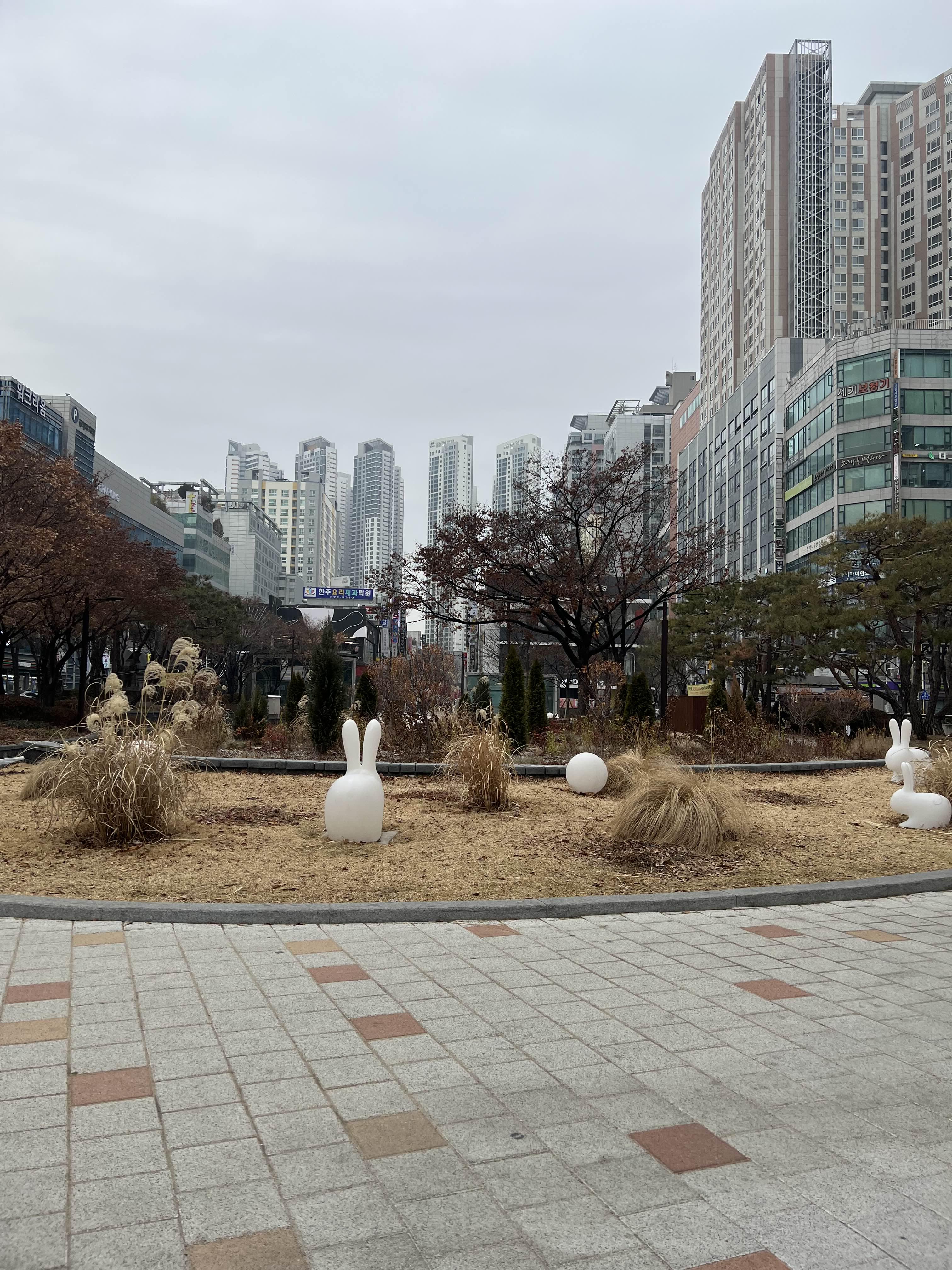 집이에요 20