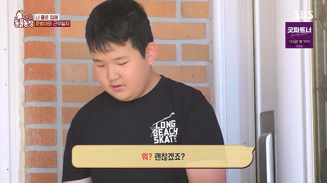 TV 동물농장.E1179.240708p-NEXT.mp4_20240707_160425.239.jpg