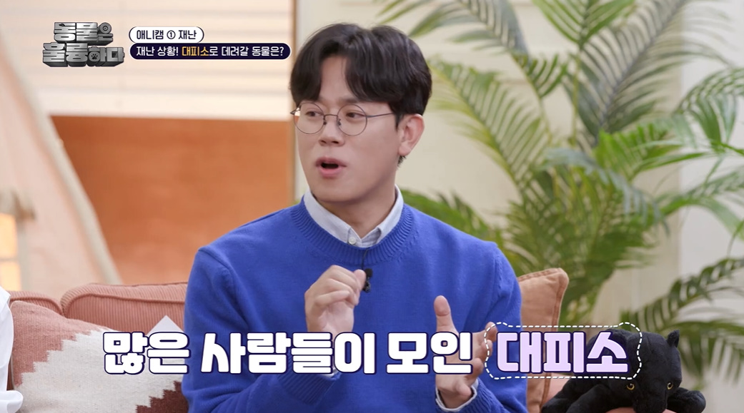 반려인들은 알아두면 좋을 만한 정보들...jpg | 인스티즈