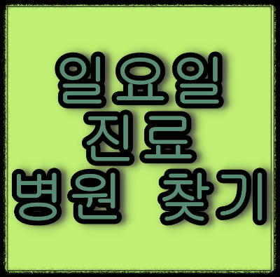  일요일 진료 병원 찾아보기