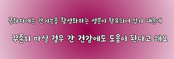  국화차에는 간기능을 활성화하는 성분이 함유되어 있기 때문에 꾸준히 마실 경우 간 건강에도 도움이 된다고 해요