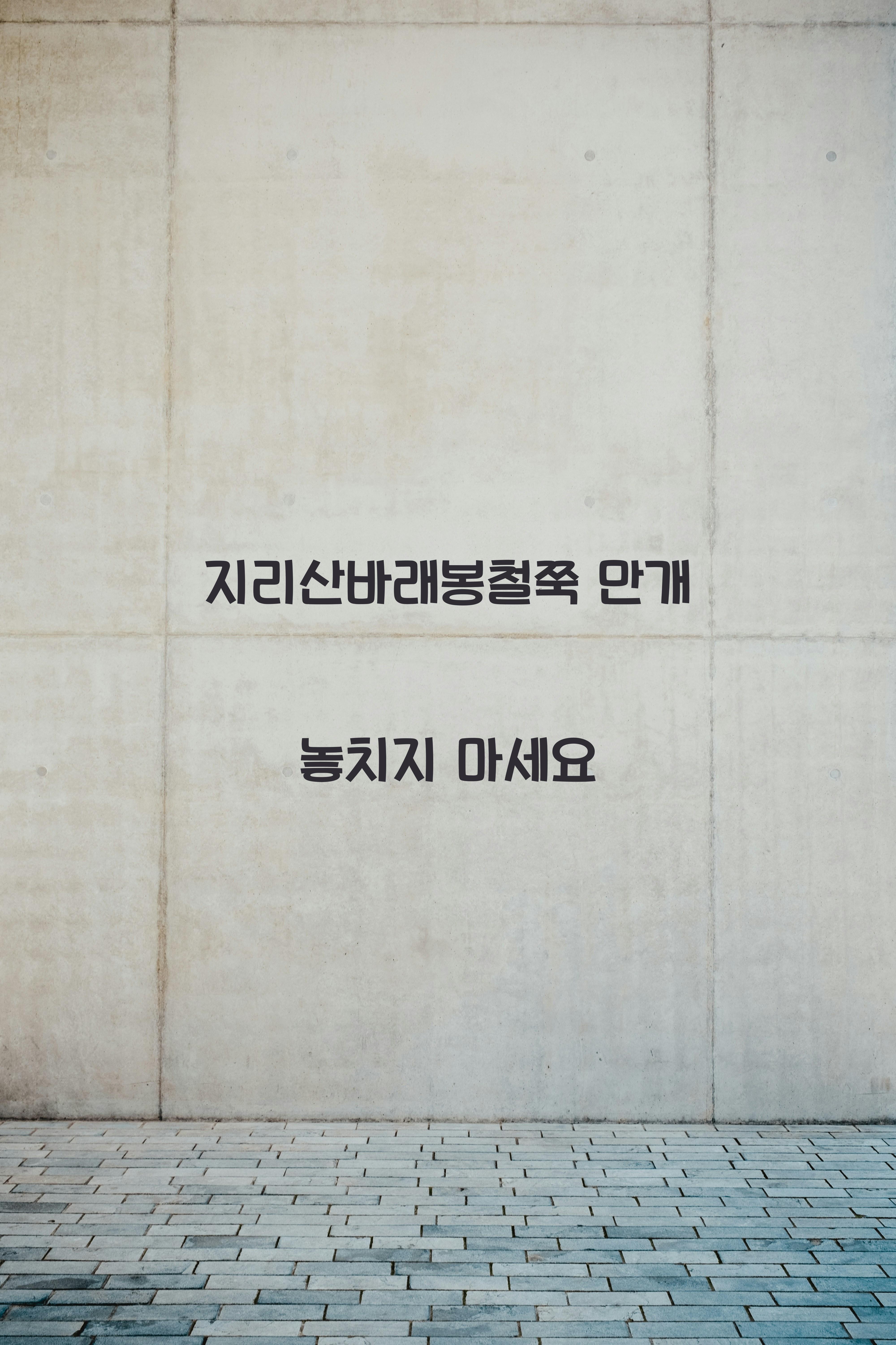지리산바래봉철쭉