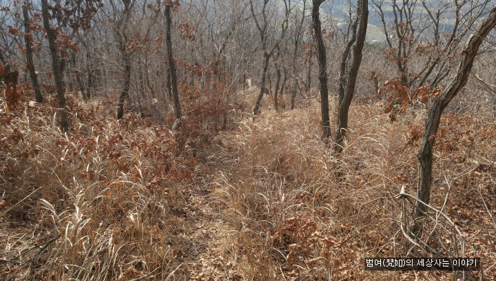 삼원축산 이미지