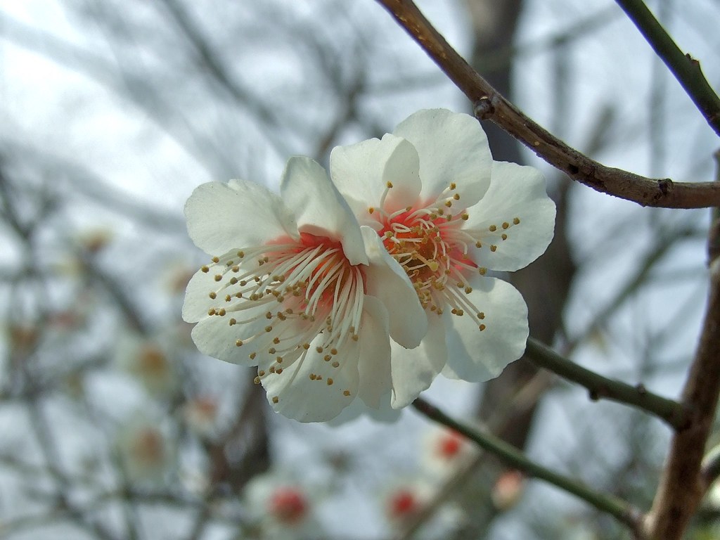2월 인사말, 친구에게 보내는 인사말, 연인에게 보내는 인사말, 가족에게 보내는 인사말, 직장 동료에게 보내는 인사말, 직장 상사에게 보내는 인사말, 거래처에게 보내는 인사말, SNS에 공유하는 인사말, 따뜻한 마음, 소중한 관계