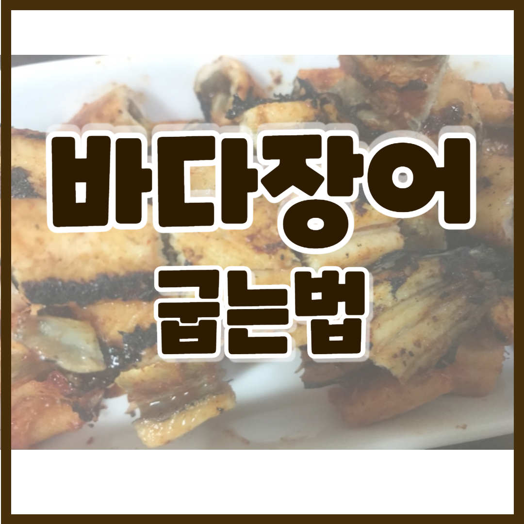  가정용 미니화로 집에서 바다 장어 굽는법 (feat.장어효능/주의점/TIP)