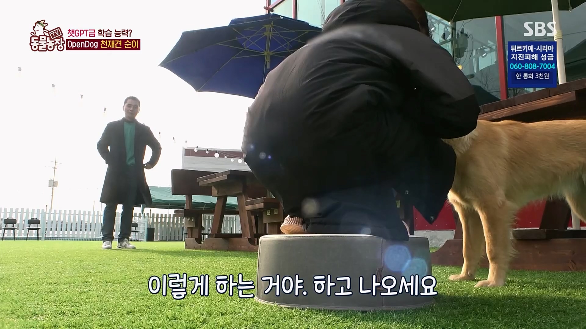 TV 동물농장.E1109.230219p.H264-F1RST.mp4_20230219_142828.919.jpg