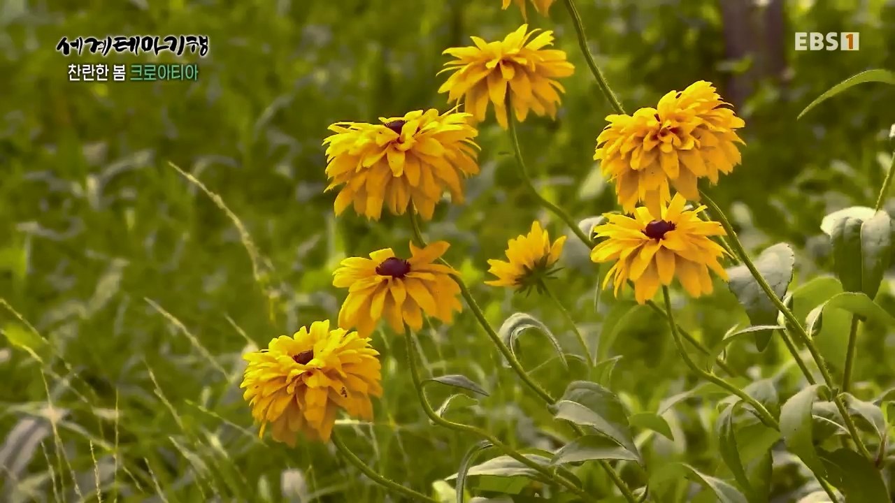세상의모든기행찬란한 봄 크로아티아-골목골목 도시 산첵.mp4_20230523_205655.589.jpg