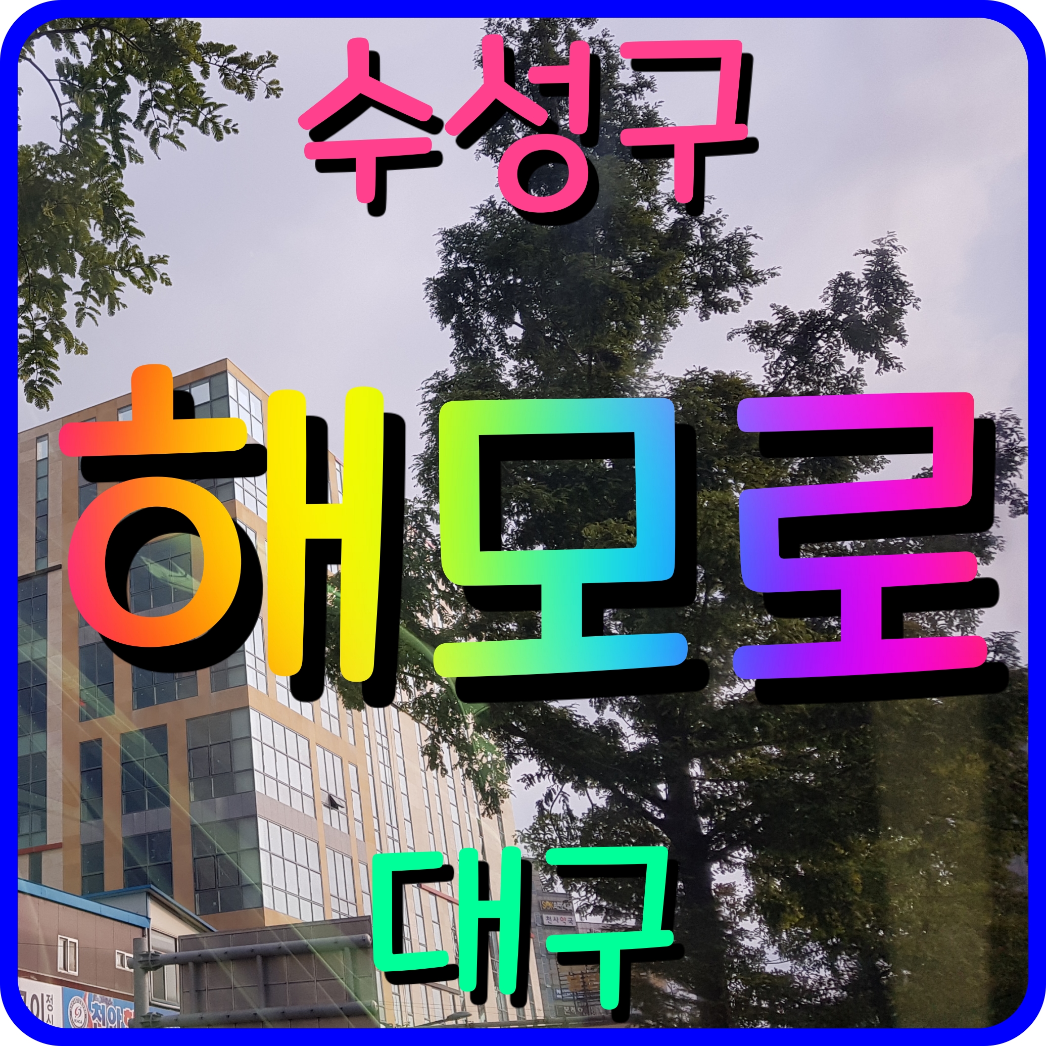  수성 해모로 하이엔 아파트 모델하우스 대구 수성구 파동