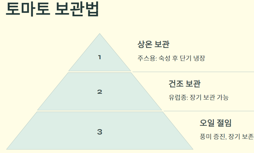 주스용 토마토와 유럽종 토마토 총정리