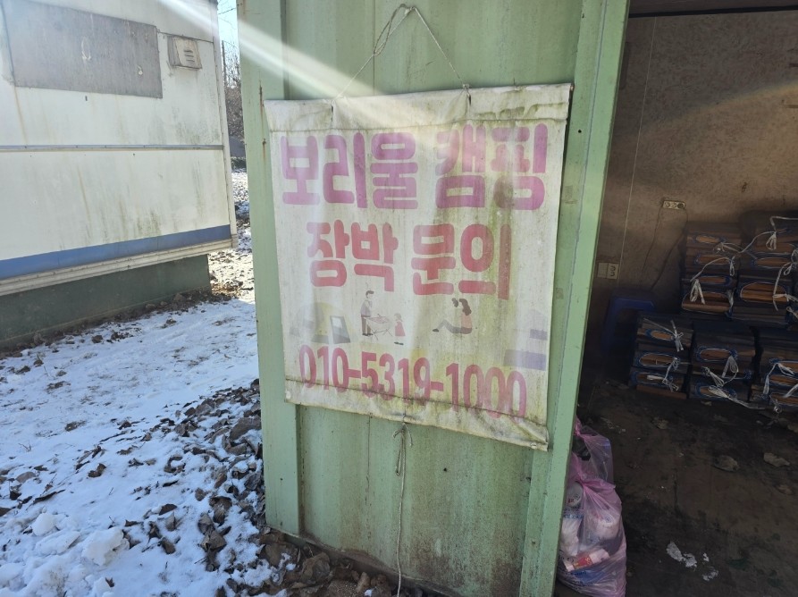 벚꽃 캠핑장 홍천 보리울캠핑장