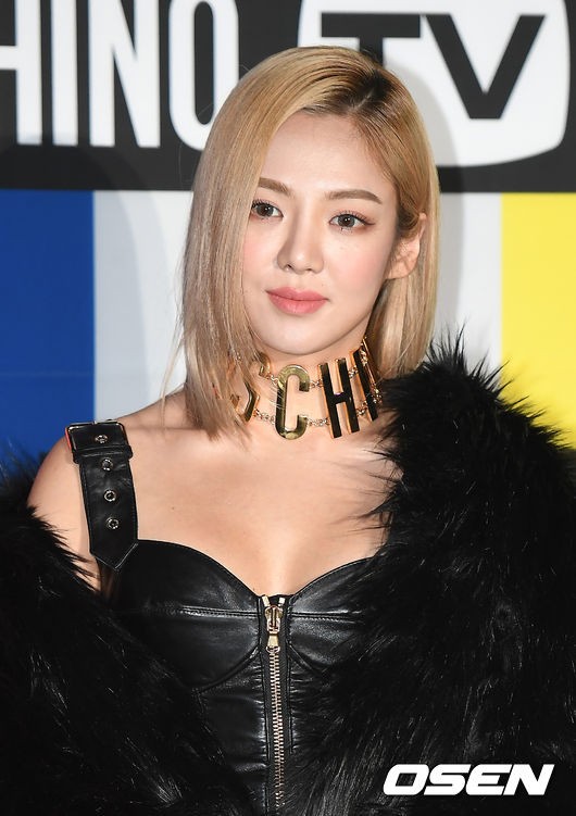  효연 측 "DJ 공연 했을 뿐 전혀 무관..억측·오해 삼가해주길"
