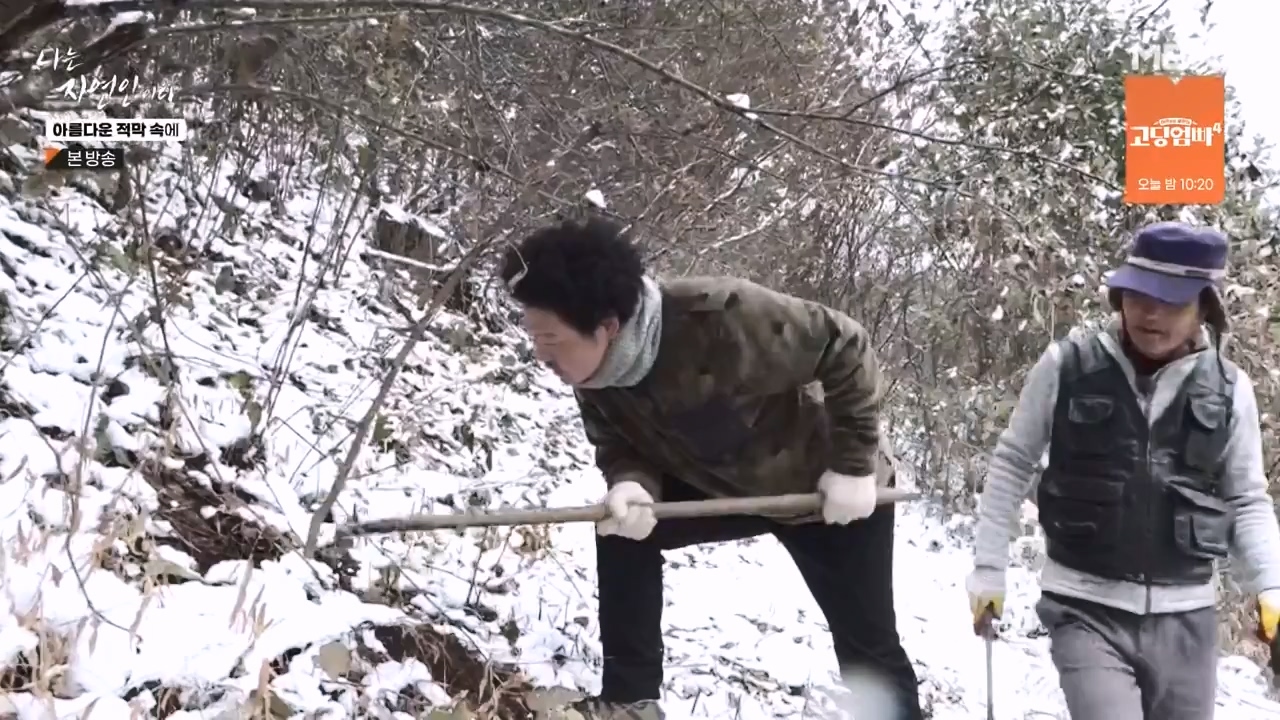 나는 자연인이다.E583.231207p-NEXT.mp4_20231207_195358.617.jpg
