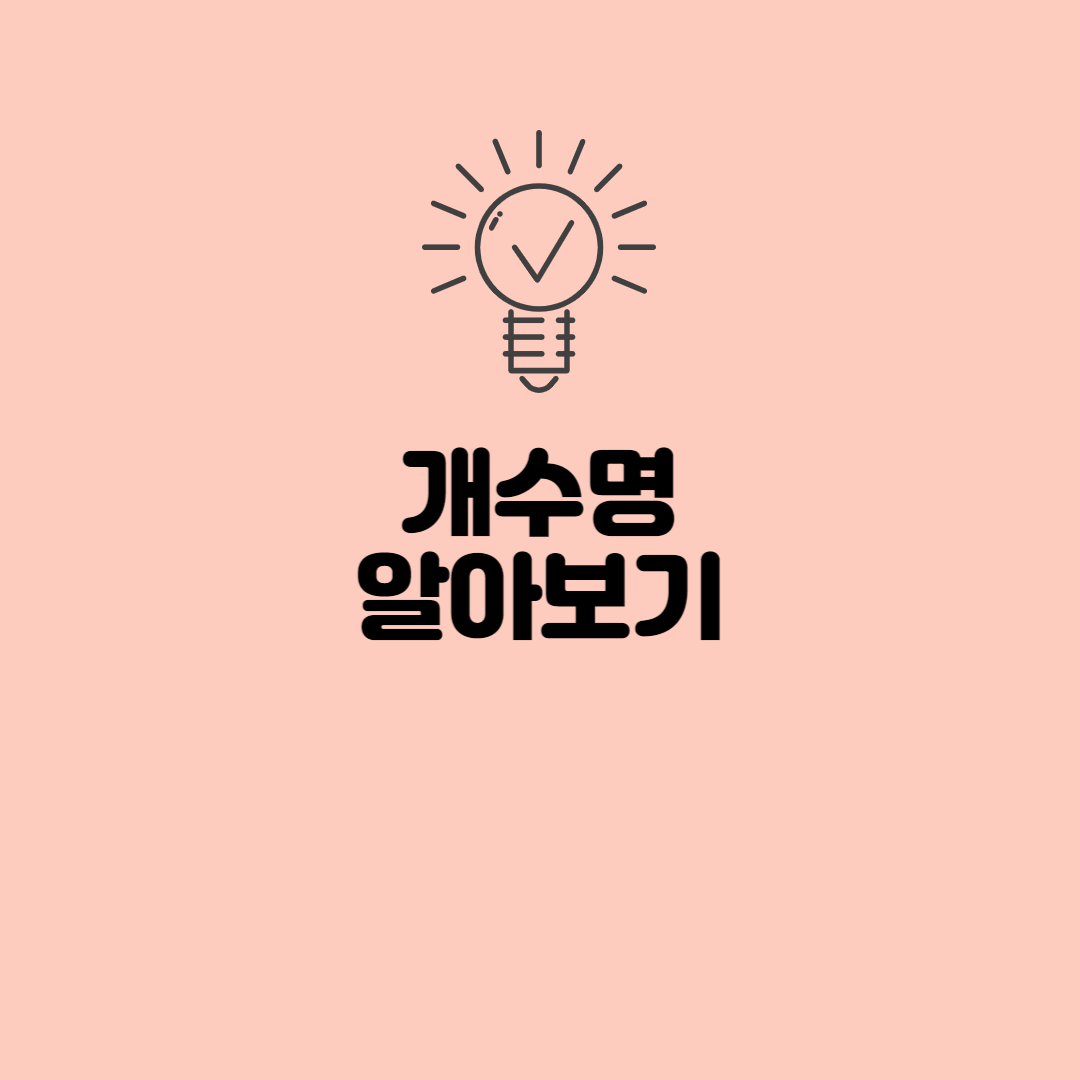  개수명 알아보기