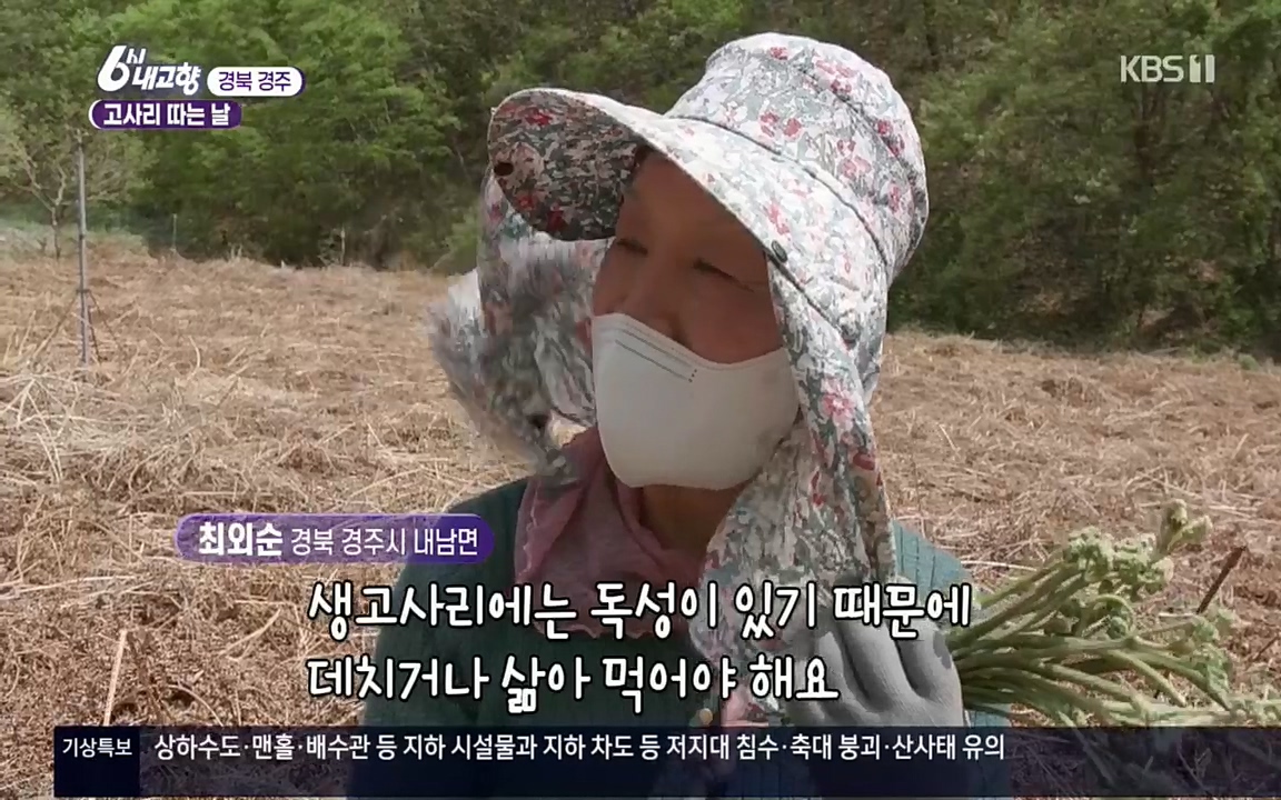6시 내고향.E7518.220426p.H264-F1RST.mp4_20220504_185222.085.jpg