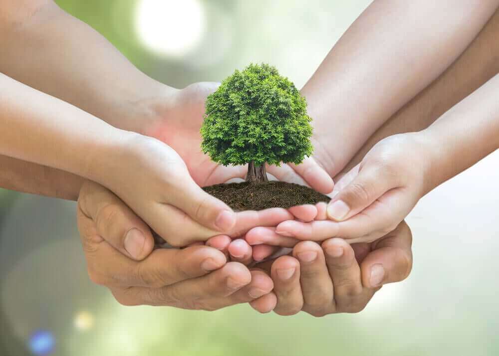  환경을 보호하는 방법