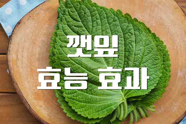 깻잎 효능 효과