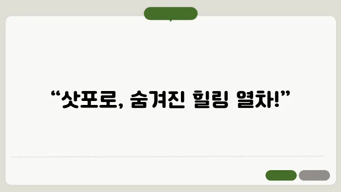 삿포로 지역 열차 여행, 이 노선 타지 않으면 힐링 놓칩니다!
