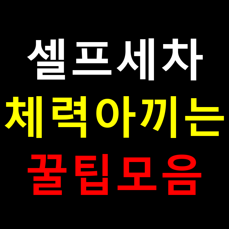 셀프세차 꿀팁 총정리: 체력 아끼는 노하우