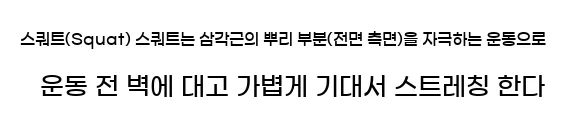  7. 스쿼트(Squat) 스쿼트는 삼각근의 뿌리 부분(전면, 측면)을 자극하는 운동으로, 운동 전 벽에 대고 가볍게 기대서 스트레칭 한다.