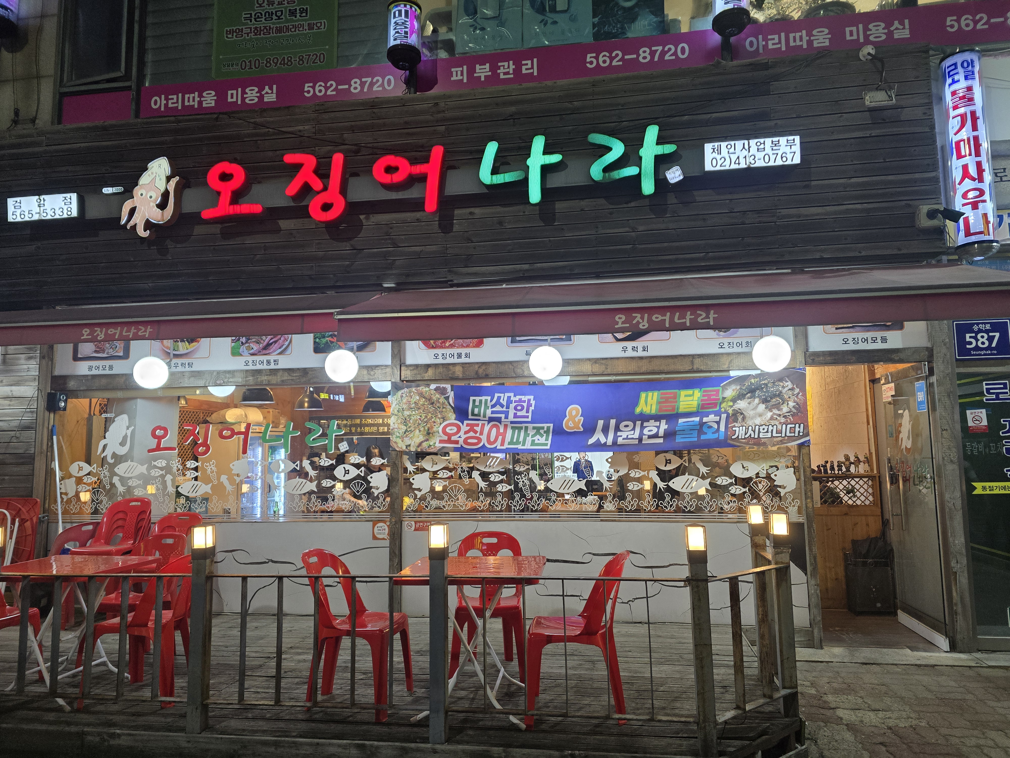 오징어나라 이미지