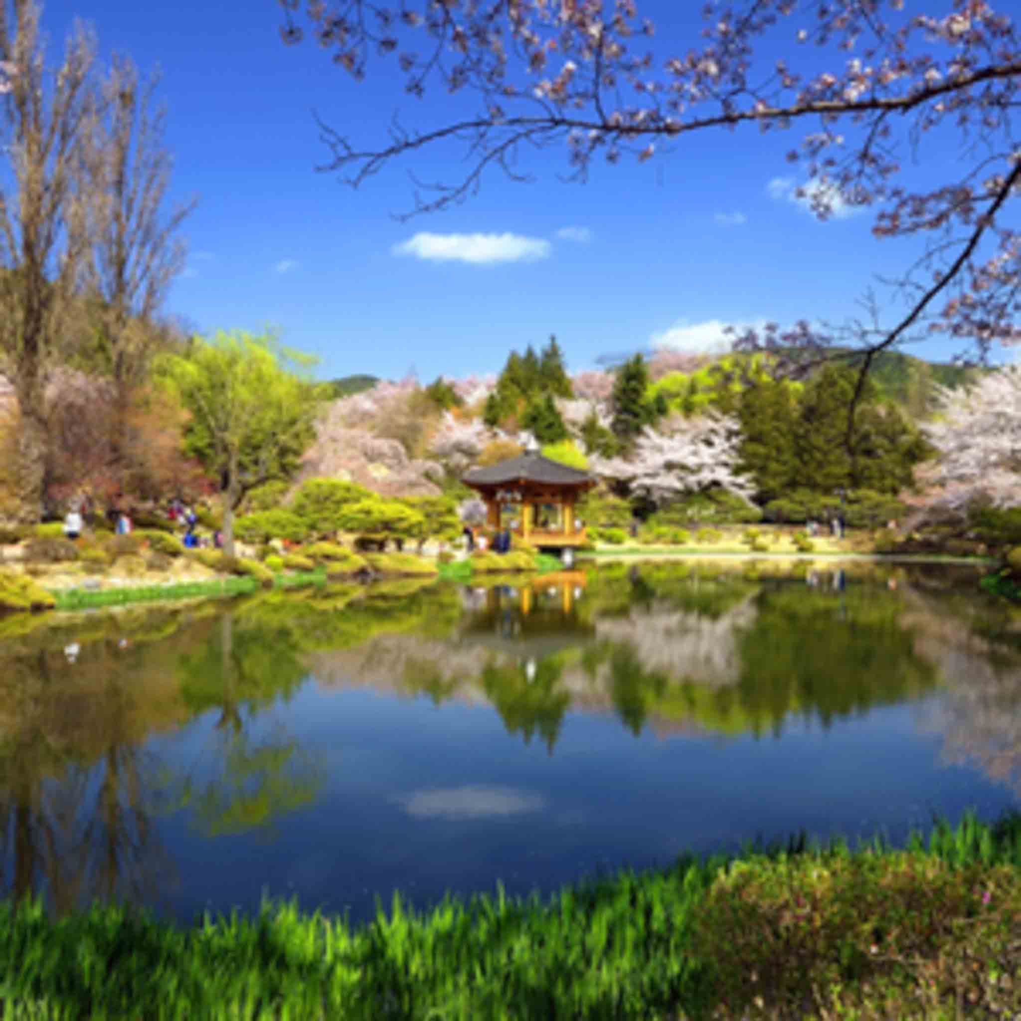 경상