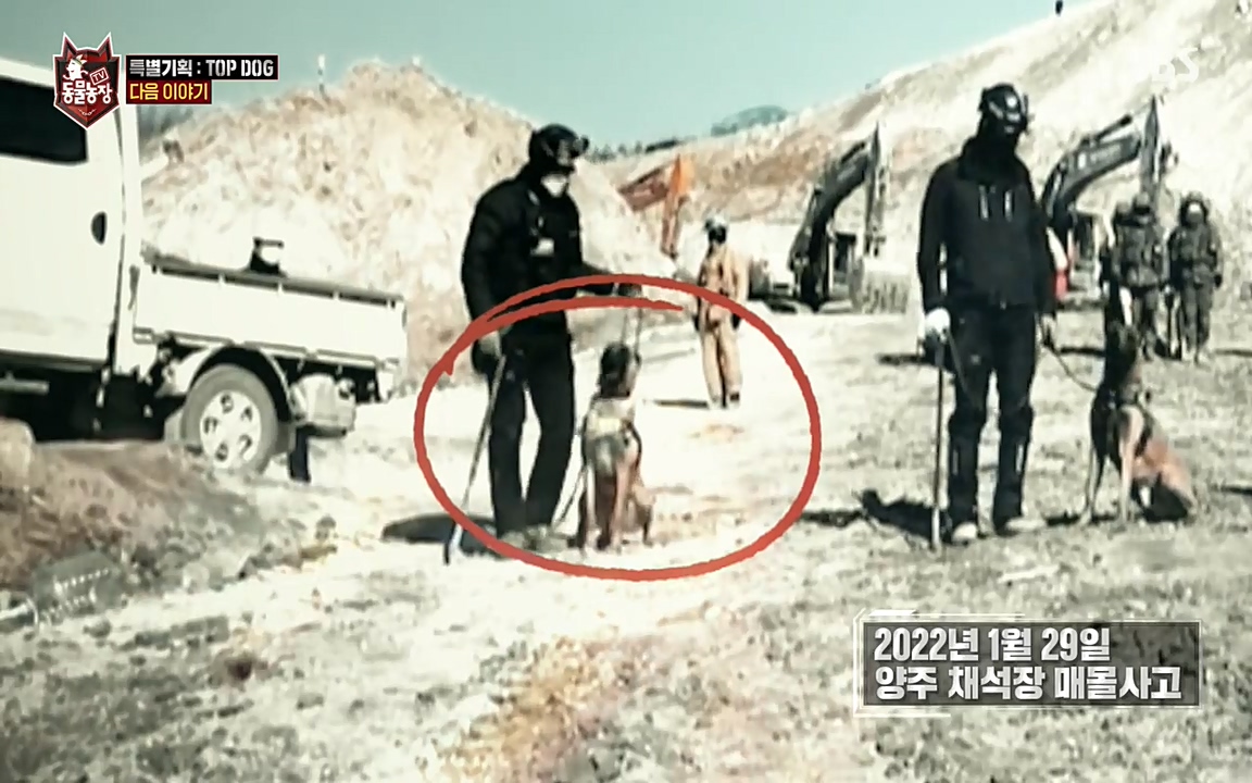 TV 동물농장.E1085.220905p-NEXT.mp4_20220904_173324.817.jpg