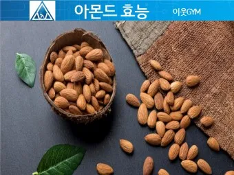 아몬드 효능 하루 섭취량 칼로리_24