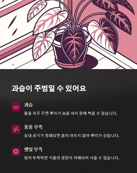 과습이 주범일 수 있어요