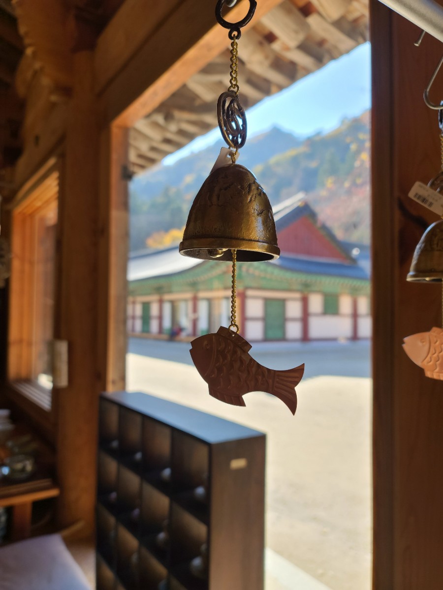 백담사 단풍 멋지다 ( 셔틀버스안내 ) 강원도 인제 여행 / 설악산 17